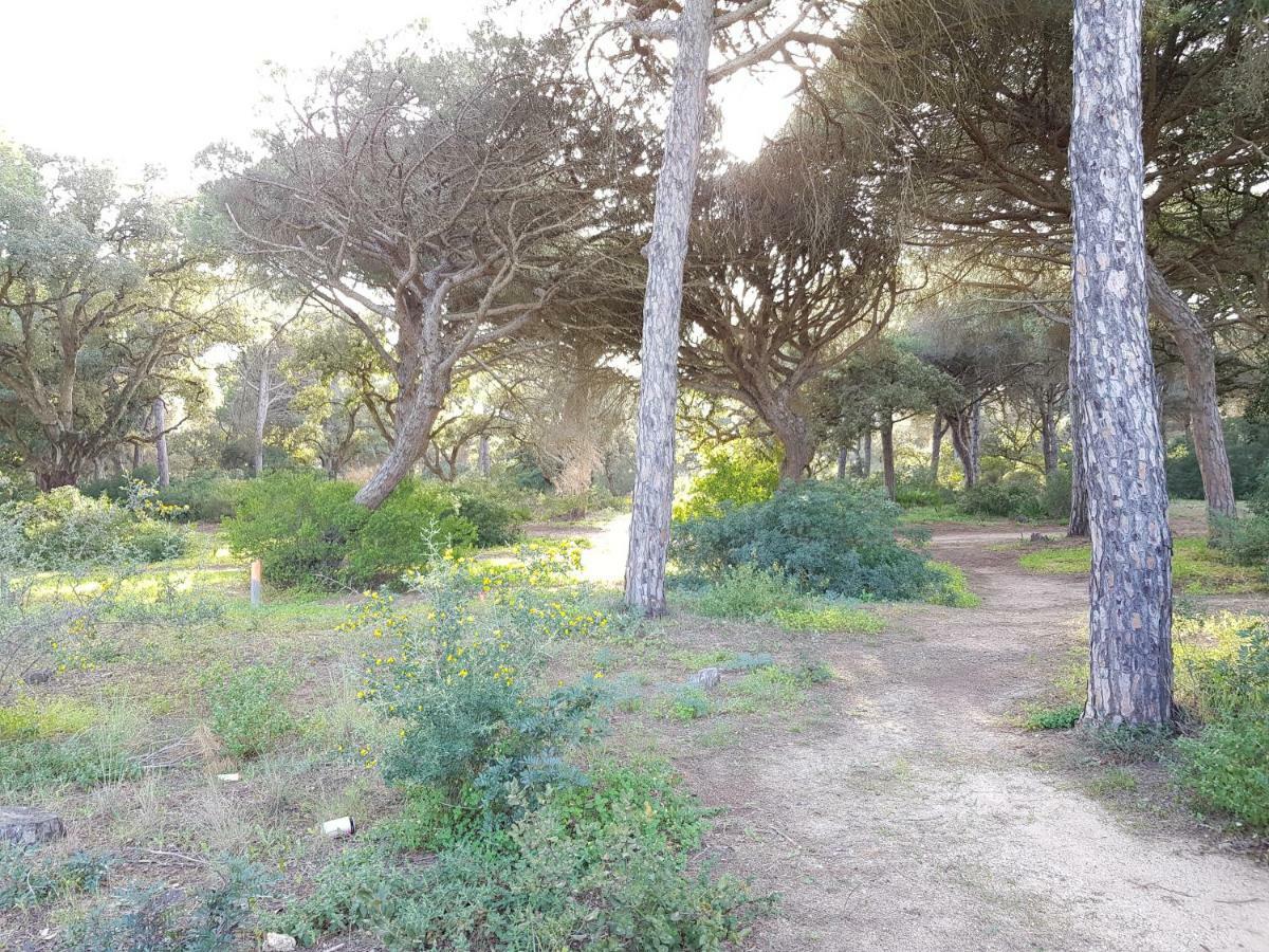 Apartamento Pinar Del Atlantico-La Barrosa Chiclana de la Frontera Zewnętrze zdjęcie
